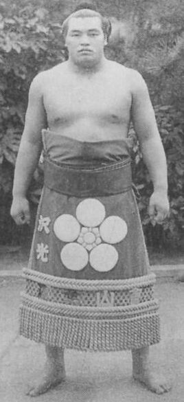 Sawahikari-main