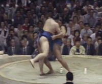Takanosato's Fighting Style