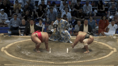 Kayo's Fighting Style 3