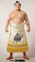 Okinoumi Ayumi - 2013 (Retrieved from the JSA)