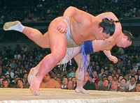 Kaio Hiroyuki | Sumowrestling Wiki | Fandom