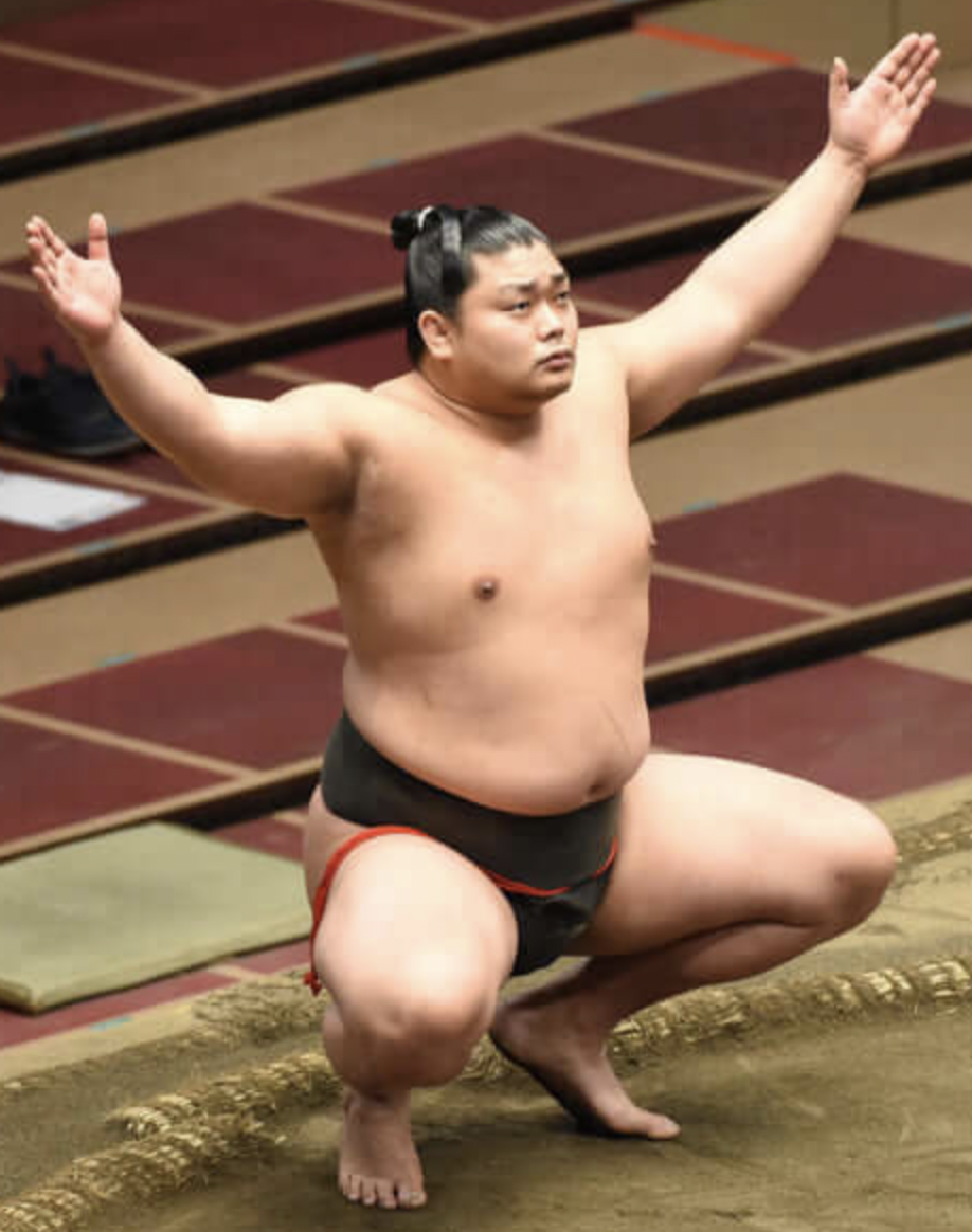 Sho (wrestler) - Wikipedia