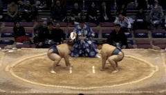 Ryuho's Fighting Style