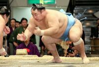 Tsurugidake launches at his opponent (c. 2011)