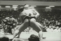 Haguroyama's FIghting Style
