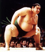 Misugisato1991