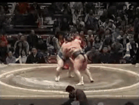 Tamarikido's Fighting Style
