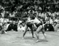 WakanohanaI's Fighting Style