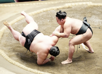 Midorifuji defeats former Ozeki Shodai (c. 2025)