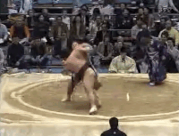 Takamifuji's Fighting Style