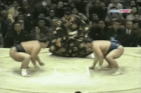 Higonoumi's Fighting Style