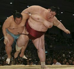 Sumo Wrestling, Yamamotoyama Ryūta a.k.a. Yama. He is the h…