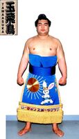 Tamaasuka Daisuke - 2005 (Retrieved from the JSA)