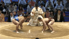 Kotomisen Fighting Style 2
