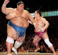 Mainoumi defeats former Ozeki Konishiki (c. 1997)