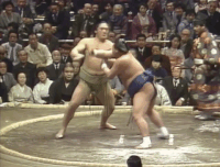 Hattori's Fighting Style