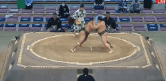Oba's Fighting Style