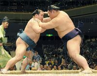 Sagatsukasa battles Tochihiryu (c. 2013)