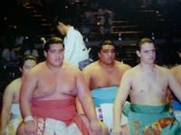 25230 110434775639556 6822511 n-1.jpg (46 KB) Ozora joins alongside future Yokozuna Musashimaru (c. 1989)
