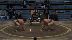 Anosho's Fighting Style 2
