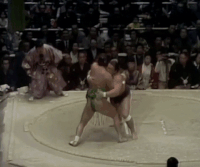 Fukunohana's Fighting Style
