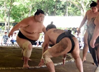 AsabenkeiTraining2017.jpg (220 KB) Asabenkei during a training session (c. 2017)