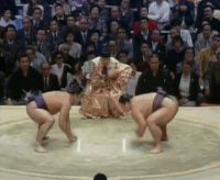 Hokutoumi's Fighting Style