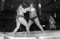 Kototenta wins a match in jonokuchi (c. 1986)