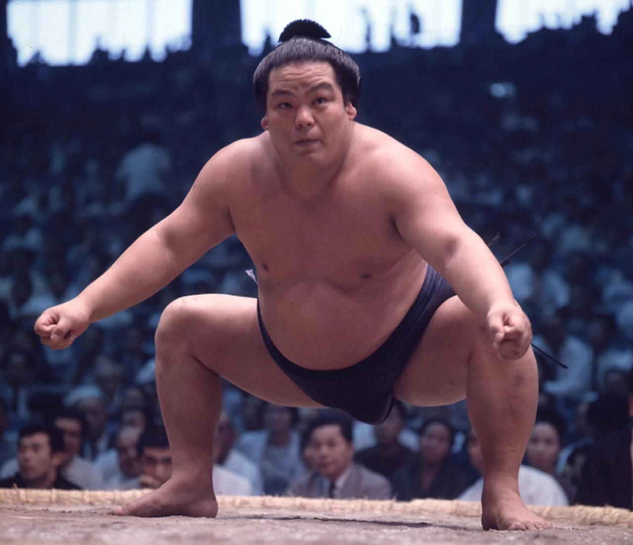 SUMO様 Kotozakura Masakatsu (born 1940) | Sumowrestling Wiki | Fandom