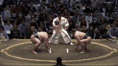 Nishikigi's Fighting Style 3