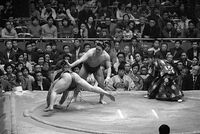 Tenryu defeats Fujizakura (c. 1974)