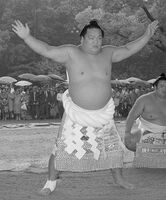Kotozakura performs the Yokozuna dohyo-iri (c. 1974)