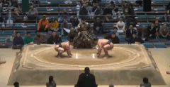 Fukugoriki's Fighting Style