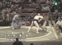 Dewanosato's Fighting Style
