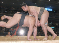 Katayama slaps down and defeats Kirinoumi (c. 2003)