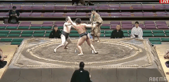 Tanaka's Fighting Style