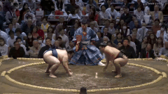Gonoyama's Fighting Style 2