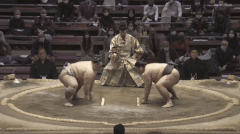 Kotoyuki's Fighting Style 2