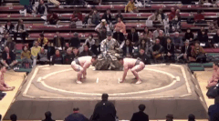 Ryuonami's Fighting Style