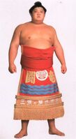 Toryu poses with his kesho-mawashi