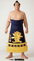 Homasho Noriyuki - 2014 (Retrieved from the JSA)