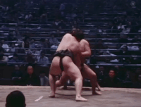 Onoumi's Fighting Style