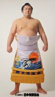 Tochiozan Yuichiro - 2013 (Retrieved from the JSA)