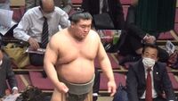 Hikarifuji dons the prestigious oichomage (c. 2022)