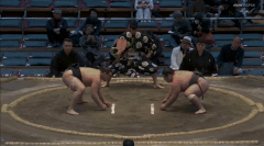 Nagamura's Fighting Style