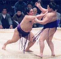 Tochinohana pushes out and defeats Hokutoriki (c. 2002)