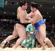 TochiozanHomasho2008