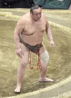 Towanoyama's final tournament in professional sumo (c. 2015)