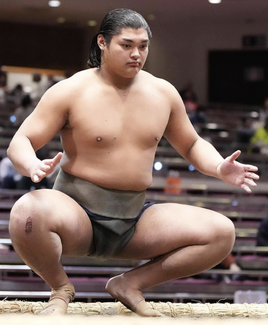 Yonezawaryu-main