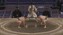 Hokaho's Fighting Style 2